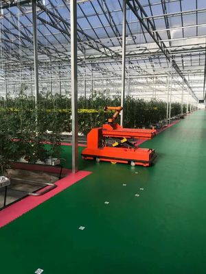Instalação de plantação controlada pela Juxiang e solução de plantação acessível
