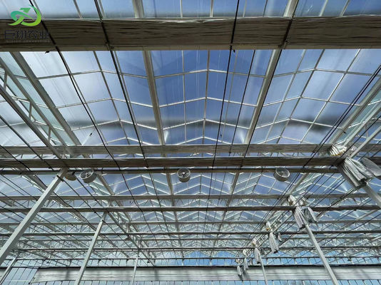 Instalação de plantação controlada pela Juxiang e solução de plantação acessível