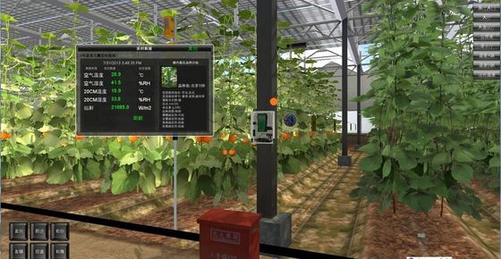 Instalação de plantação controlada pela Juxiang e solução de plantação acessível