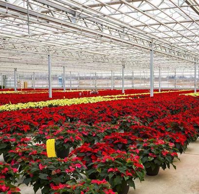 Método de cultivo hidropônico PC Folha de jardim Flor de luz solar Estufas para Canadá Área
