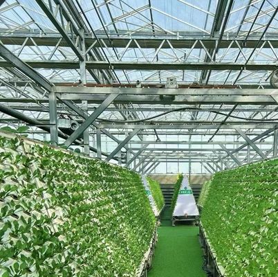 Estufa de duas camadas para o cultivo de tomate 20GP Pacote Tamanho 12,09cm * 2,35cm * 2,39cm