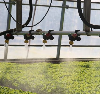 Sistema de prevenção de nevoeiro de retorno de 30 dias para a produção de flores em estufas de telhado arqueado