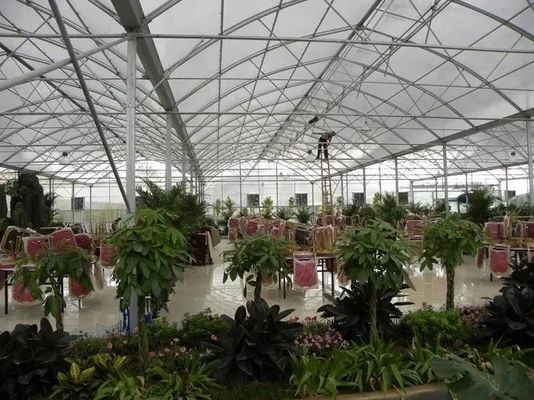Estufas hidropônicas com cortina úmida com opções de personalização e tamanho do pacote