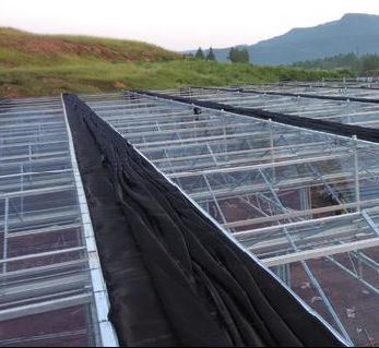 Hidroponia Estômico de Controle de Umidade Estufa com teto arqueado e design multi-span