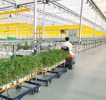 Estufa de película de duas camadas de Juxiang, única ou com várias estiradas, para produção de flores