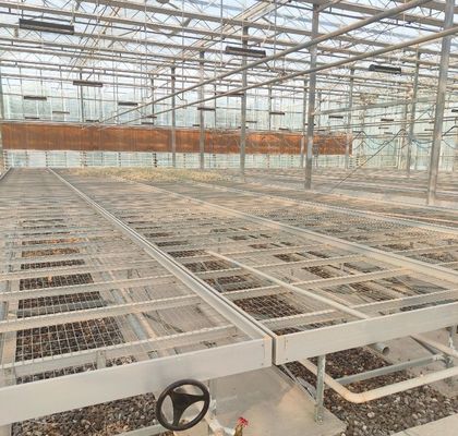 Estufa de película de duas camadas de Juxiang, única ou com várias estiradas, para produção de flores