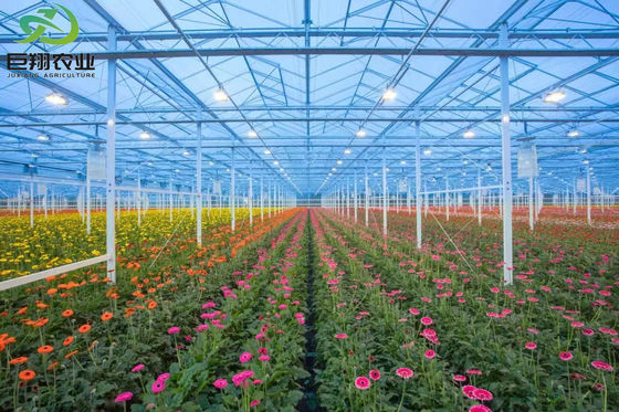 Estufas de sombreamento ao ar livre para controlo da umidade na produção comercial de estufas