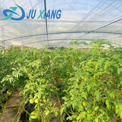 Estufa de película de duas camadas de Juxiang, única ou com várias estiradas, para produção de flores