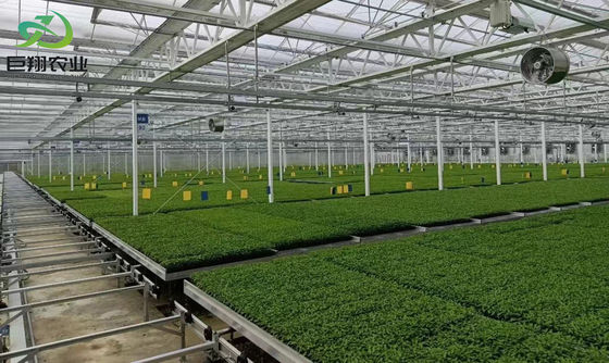 Estufas de sombreamento ao ar livre para controlo da umidade na produção comercial de estufas