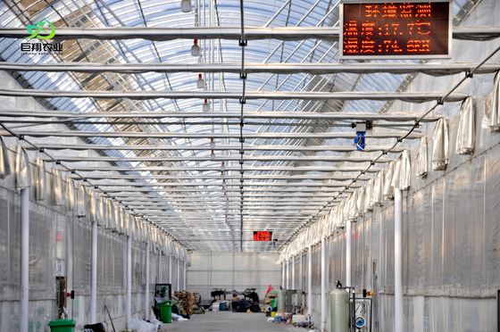 Estufas de sombreamento ao ar livre para controlo da umidade na produção comercial de estufas