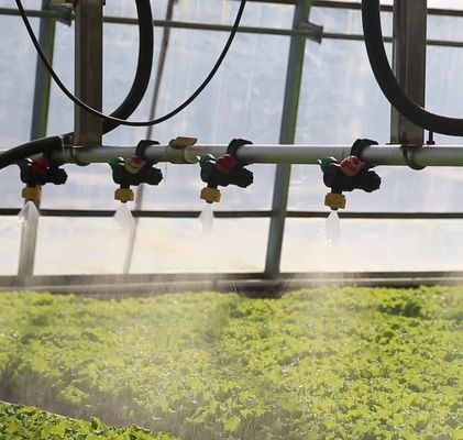 Blower de ar quente/aquecimento de água quente Hidroponia de arco duplo Estufas para flores e tomates