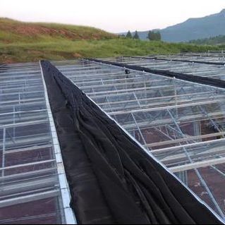 Blower de ar quente/aquecimento de água quente Hidroponia de arco duplo Estufas para flores e tomates