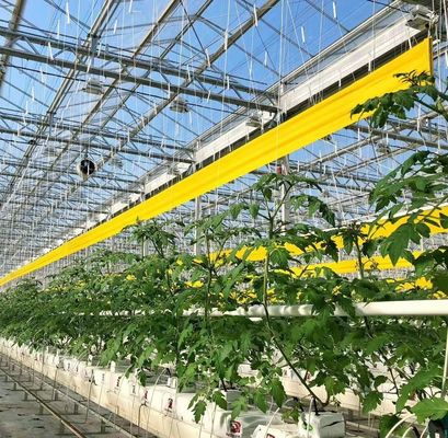 Blower de ar quente/aquecimento de água quente Hidroponia de arco duplo Estufas para flores e tomates