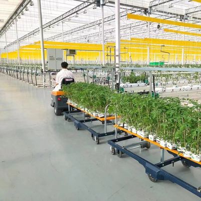 Blower de ar quente/aquecimento de água quente Hidroponia de arco duplo Estufas para flores e tomates