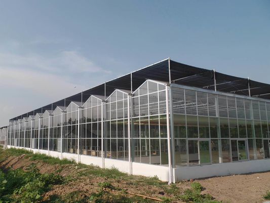 Instalação hidropônica de semeadura com sombra interior com capacidade e cultivo em larga escala