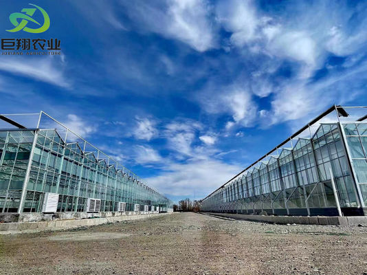 Instalação hidropônica de semeadura com sombra interior com capacidade e cultivo em larga escala