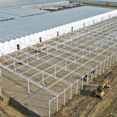 Estrutura de aço Estufas para produção de pimenta utilizando o método de cultivo hidropônico