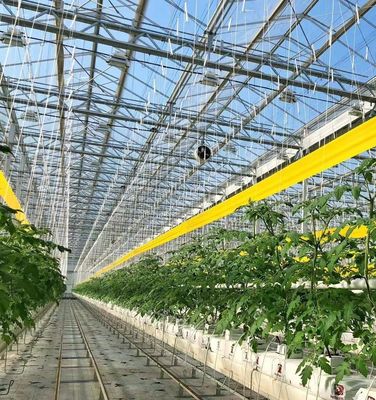 Estrutura de aço Estufas para produção de pimenta utilizando o método de cultivo hidropônico