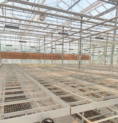 Estrutura de aço Estufas para produção de pimenta utilizando o método de cultivo hidropônico