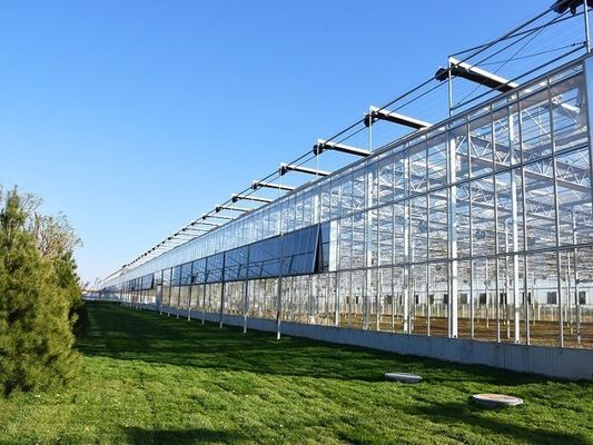 Juxiang prime s Sistema de Estufas de Ambiente Controlado dentro de Materiais de Construção