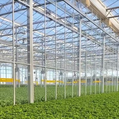 JX-H0068 Proposta de estufa de tecnologia antigotejamento para a personalização de flores e tomates