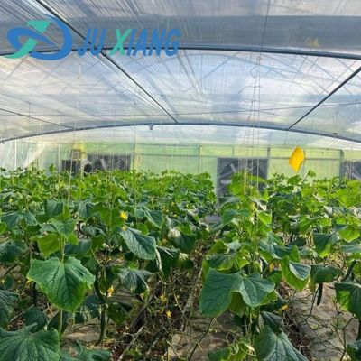 JX-H0068 Proposta de estufa de tecnologia antigotejamento para a personalização de flores e tomates