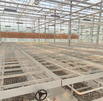 -Fabricação de estufas hidropônicas com tecnologia anti-gotejamento