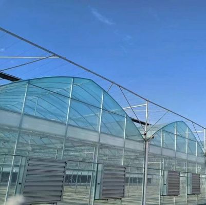 Estrutura de arco duplo - Estufas hidropónicas feitas para necessidades de produção de agricultura mista