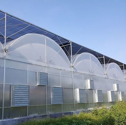 Estrutura de arco duplo - Estufas hidropónicas feitas para necessidades de produção de agricultura mista
