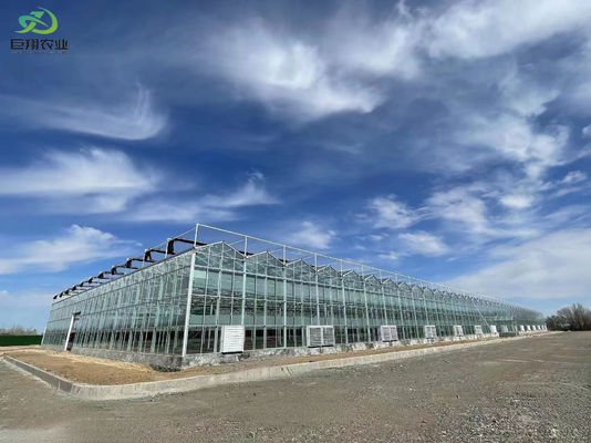 Pacote de instalações de plantação de Juxiang com controle de umidade Peso bruto 2000.000kg Solução