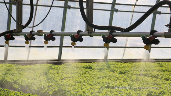 EUA/Canadá Estrutura de aço Vegetais Plantação Estufas de Arco Único para Hidroponia