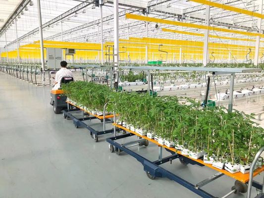 EUA/Canadá Estrutura de aço Vegetais Plantação Estufas de Arco Único para Hidroponia