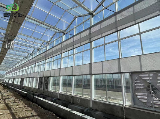 Pacote de instalações de plantação de Juxiang com controle de umidade Peso bruto 2000.000kg Solução