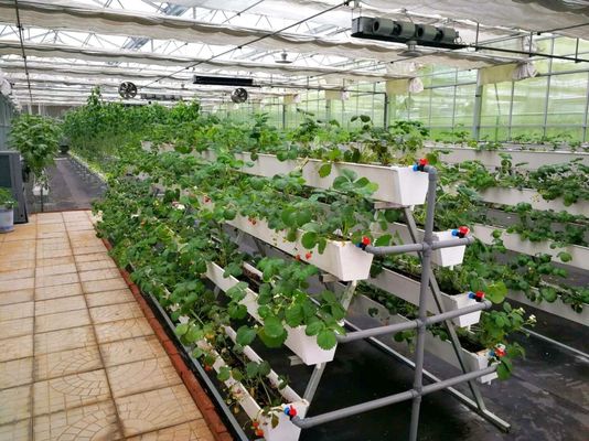 Pacote de instalações de plantação de Juxiang com controle de umidade Peso bruto 2000.000kg Solução