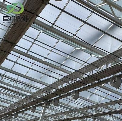 Pacote de instalações de plantação de Juxiang com controle de umidade Peso bruto 2000.000kg Solução