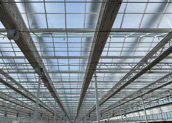 A Perfect Multi-Span Fogging Greenhouse para Hidropônica / sem solo / Stromal Cultivo