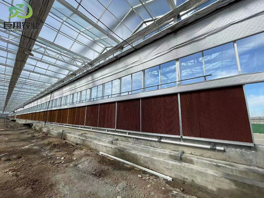 A Perfect Multi-Span Fogging Greenhouse para Hidropônica / sem solo / Stromal Cultivo