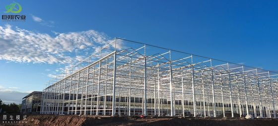 Método de cultivo de túnel Estufa multi-espans com tubo de aço galvanizado a quente