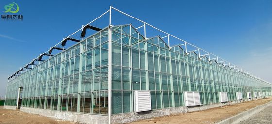 Método de cultivo de túnel Estufa multi-espans com tubo de aço galvanizado a quente