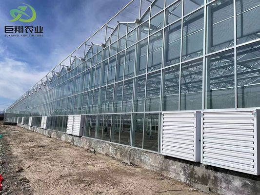 Método de cultivo de túnel Estufa multi-espans com tubo de aço galvanizado a quente