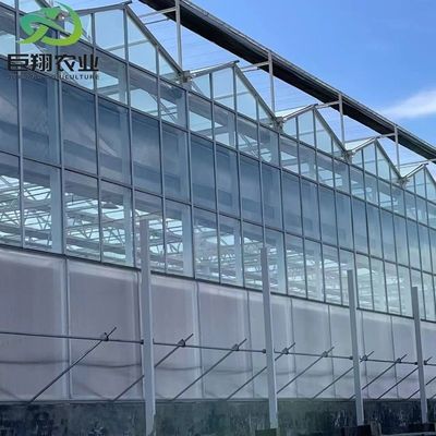Serra de vidro Venlo com sistema de cultivo hidropónico