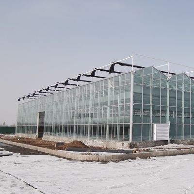 Serra de vidro Venlo com sistema de cultivo hidropónico