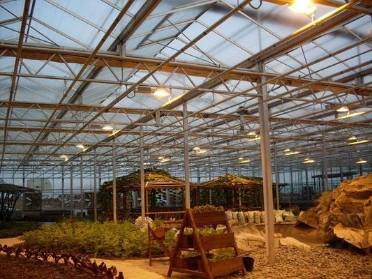Sistema de cultivo de tomate pepino alface Peso bruto 2000.000kg Solicitação de personalização
