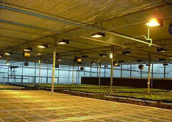 Instalação de sementeira de película de plástico de Juxiang Estrutura de aço para devoluções convenientes Reembolsos