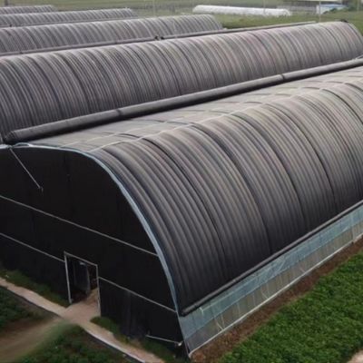 Estufas de filtro de túnel de comprimento único agrícolas para cogumelos e vegetais