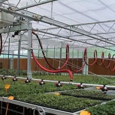 Espessura de película personalizada Filme de plástico usado agrícola Hidropónica Estufas