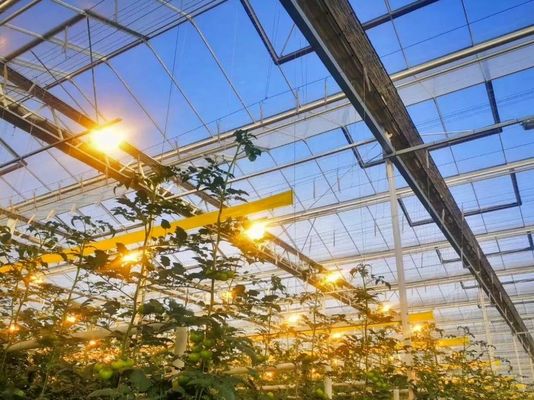 Sala de plantação multi-espaço para mudas em embalagem de estufa Peso bruto 2000.000kg