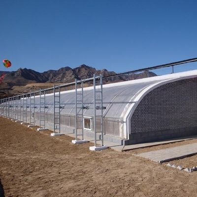 Aquicultura Estufas de luz solar de arco duplo com vibrador de neve em zonas de neve pesada