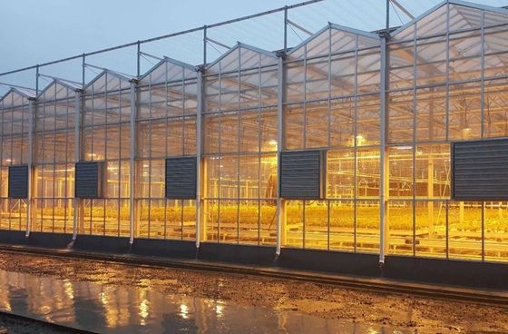Pedido personalizado Juxiang Tomate Pepino Alface Estrutura Iluminação Estufas