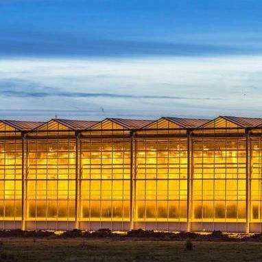 Restituições de devolução Estufas multi-espaços garantidas para o cultivo de tomate, pepino e alface